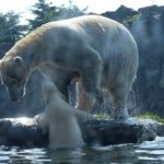 Schulausflug in die Zoom Erlebniswelt Gelsenkirchen