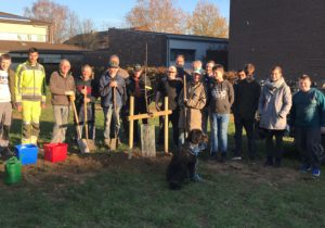 Obstwiese in Amern
