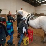 Ein Tag auf dem Bauernhof im Advent