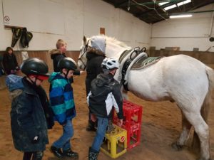 Ein Tag auf dem Bauernhof im Advent