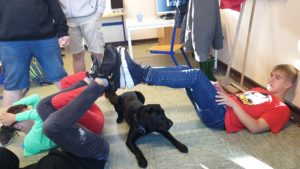 Klassengemeinschaft und Achtsamkeit stärken mit Schulhund Lia