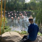 Tierische Abenteuer für Hinsbecker Kinder