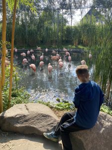 Tierische Abenteuer für Hinsbecker Kinder