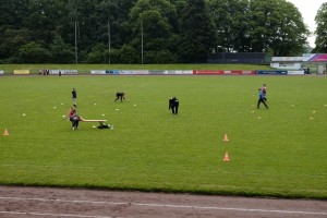 bearbeitet - DSCF2535                  