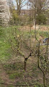 20260327_134811816_iOS