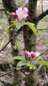 20260327_135356814_iOS