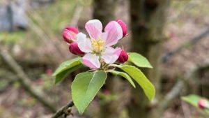 20260327_135430486_iOS