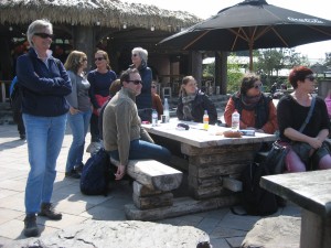 IMG 6549      