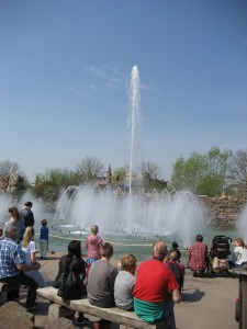 IMG 6552      